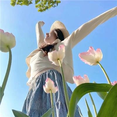 夏日恋曲
