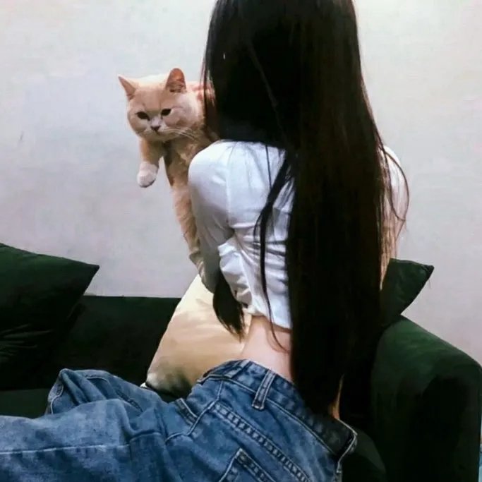 托托的色彩美学观